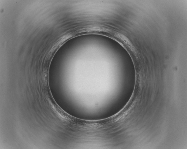 X0000088891225200706291431