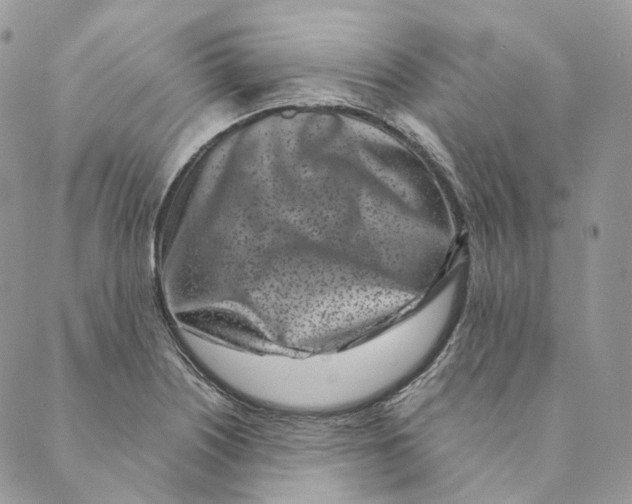 X0000088891226200706291431