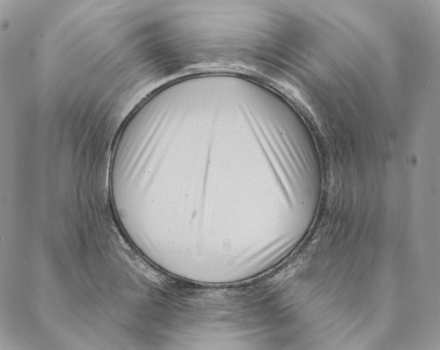 X0000088891228200706291431