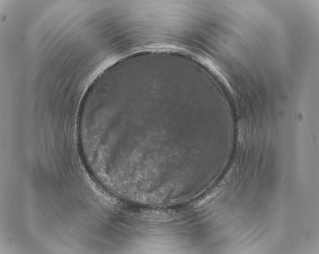 X0000088891229200706291431