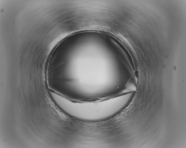 X0000088891230200706291432