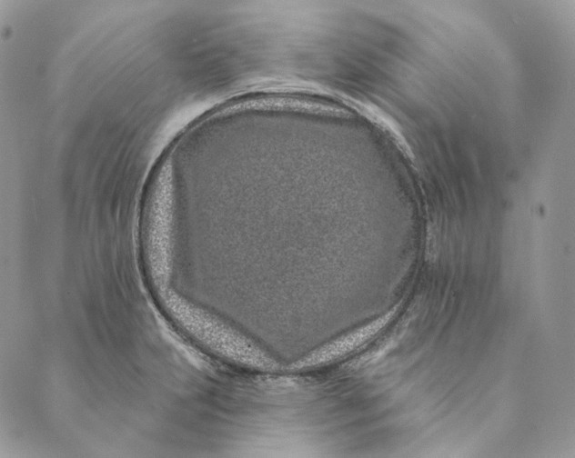 X0000088891231200706291432