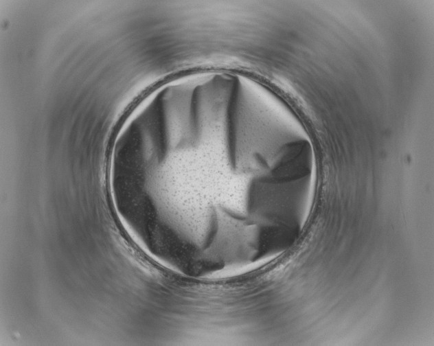 X0000088891232200706291432