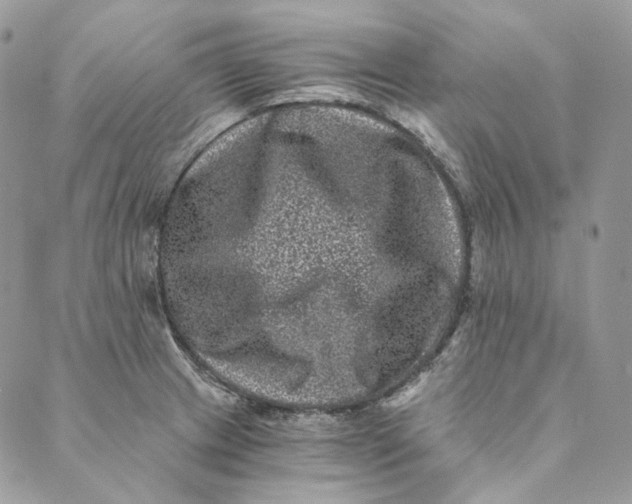 X0000088891233200706291432