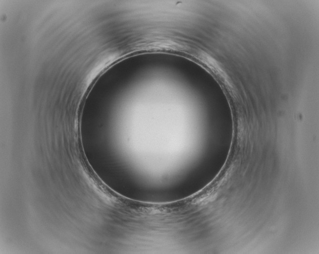 X0000088891234200706291432