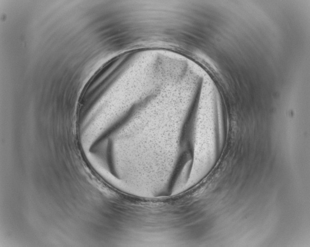 X0000088891236200706291432