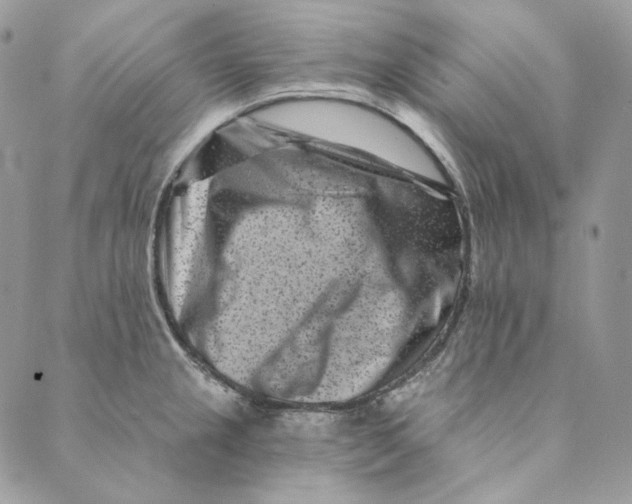 X0000088891237200706291432