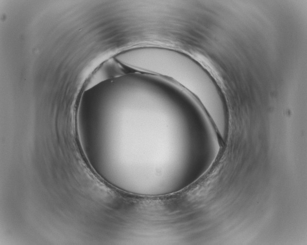 X0000088891238200706291432