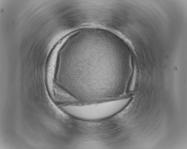 X0000088891239200706291432