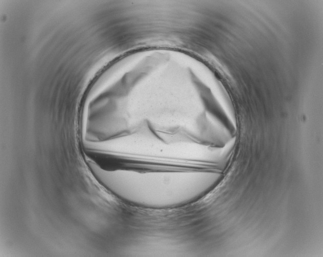 X0000088891240200706291432