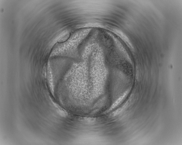 X0000088891241200706291432