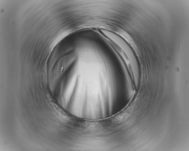 X0000088891242200706291432