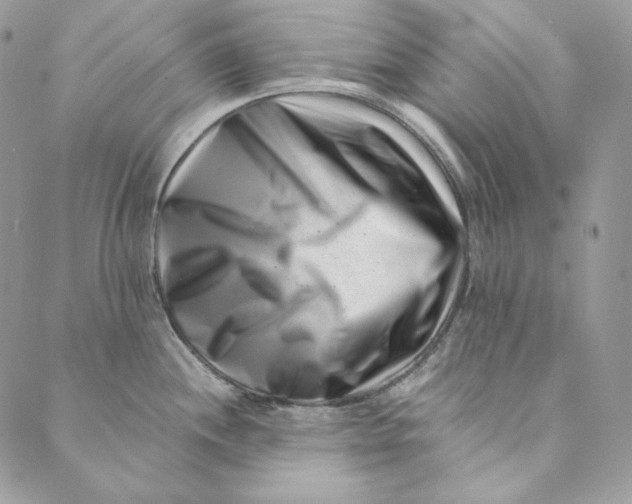 X0000088891244200706291432