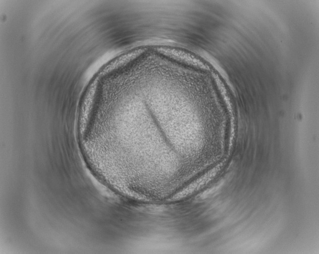 X0000088891245200706291432