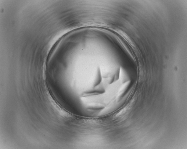 X0000088891246200706291432