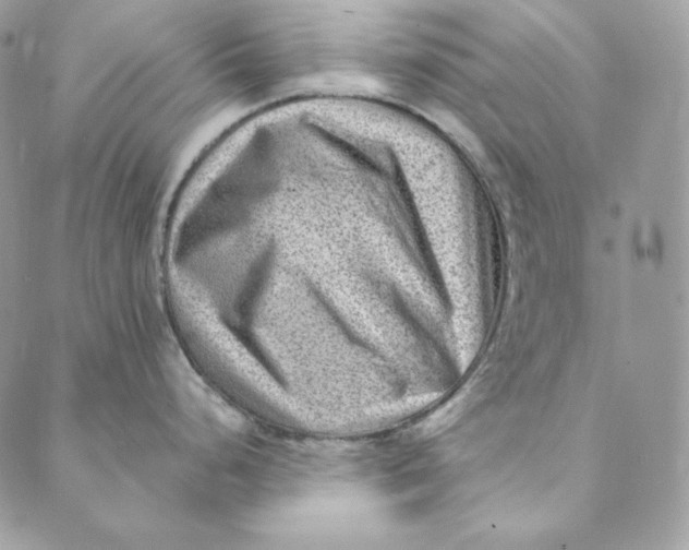 X0000088891248200706291432