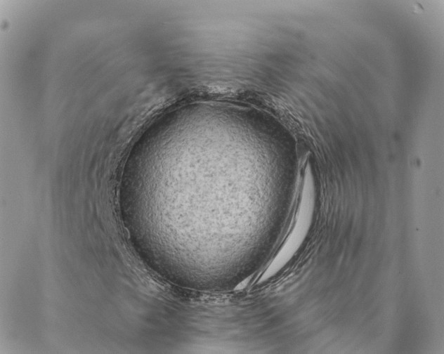 X0000088891249200706291431