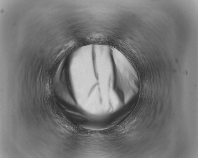 X0000088891250200706291431