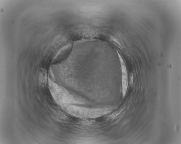 X0000088891251200706291431