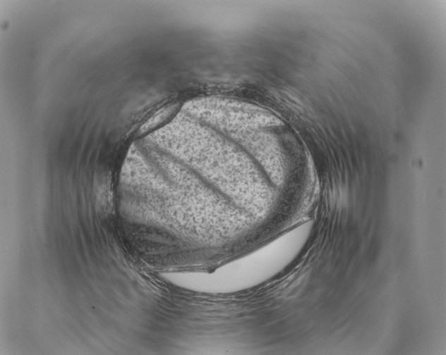 X0000088891252200706291431