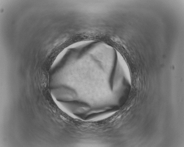 X0000088891253200706291431