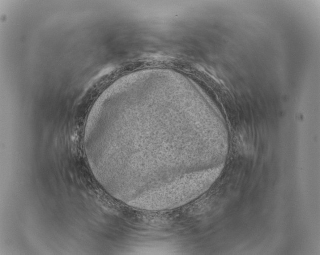 X0000088891254200706291431