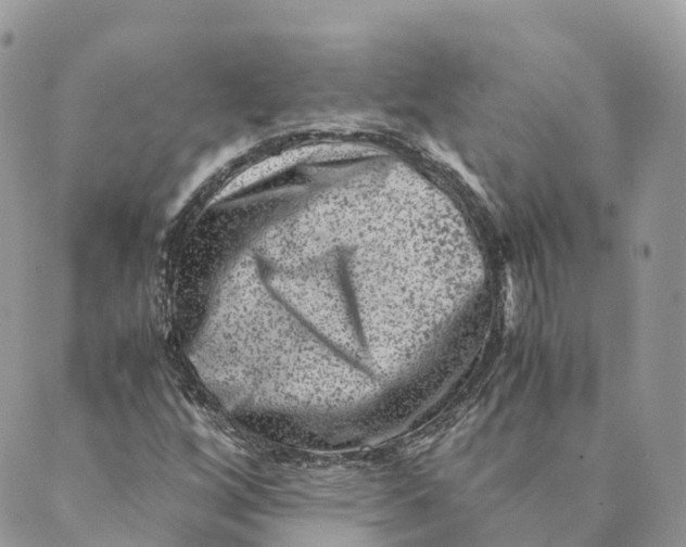 X0000088891256200706291431