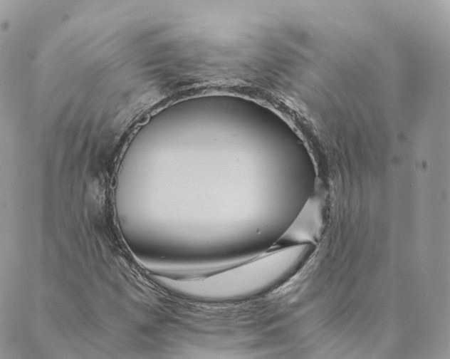 X0000088891257200706291431