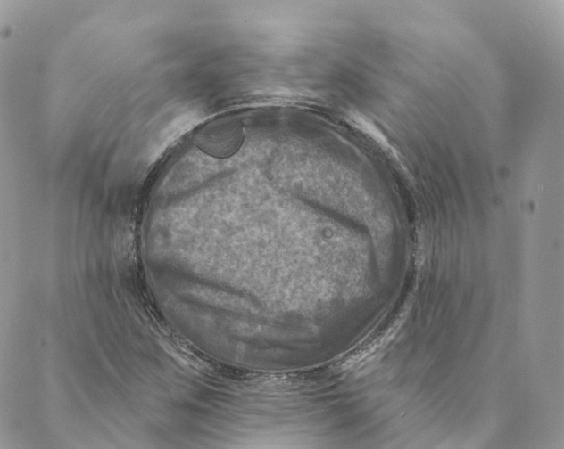 X0000088891259200706291431