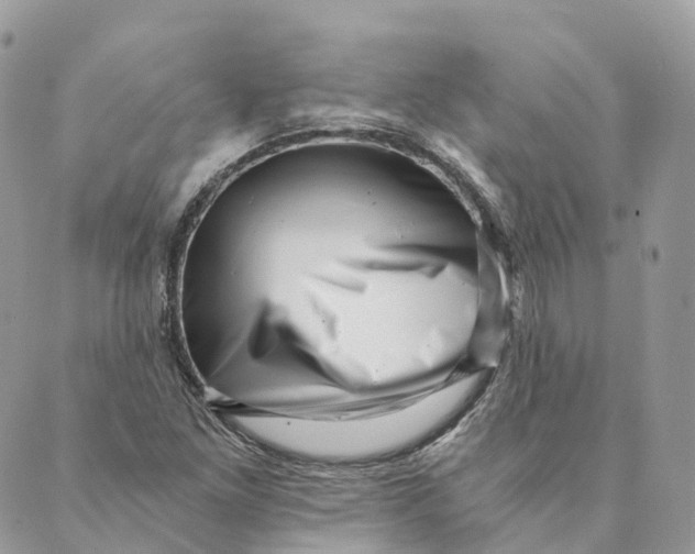 X0000088891261200706291431