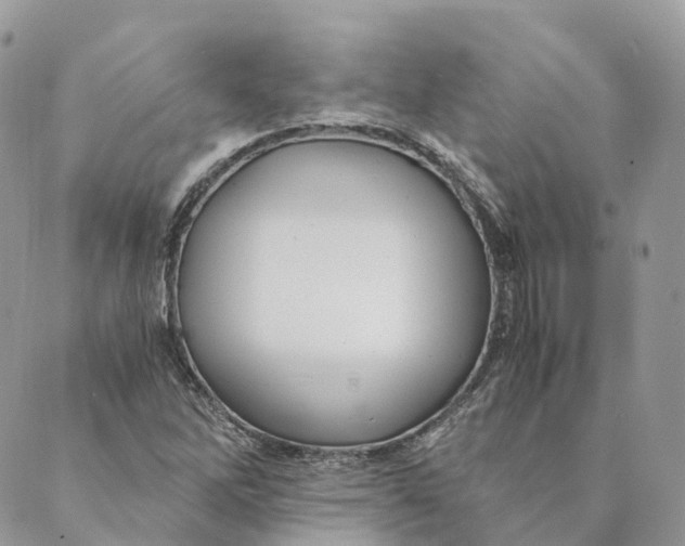 X0000088891262200706291431