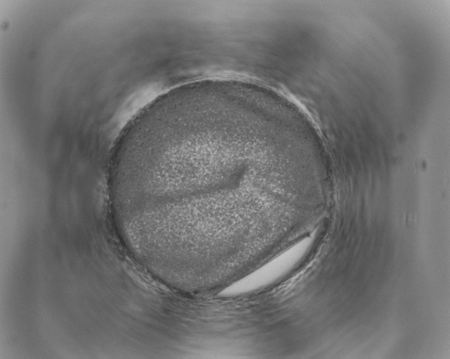 X0000088891263200706291431