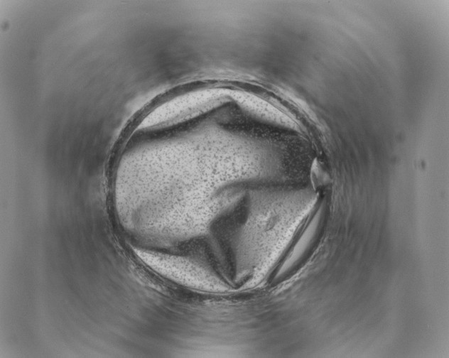 X0000088891264200706291431