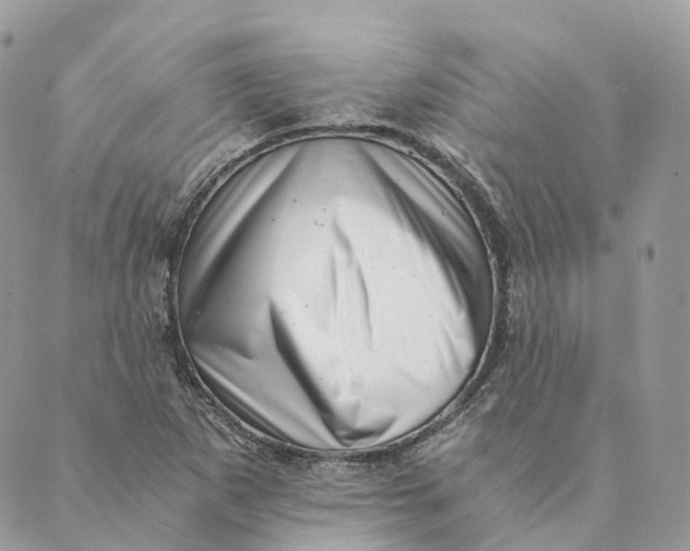 X0000088891265200706291431