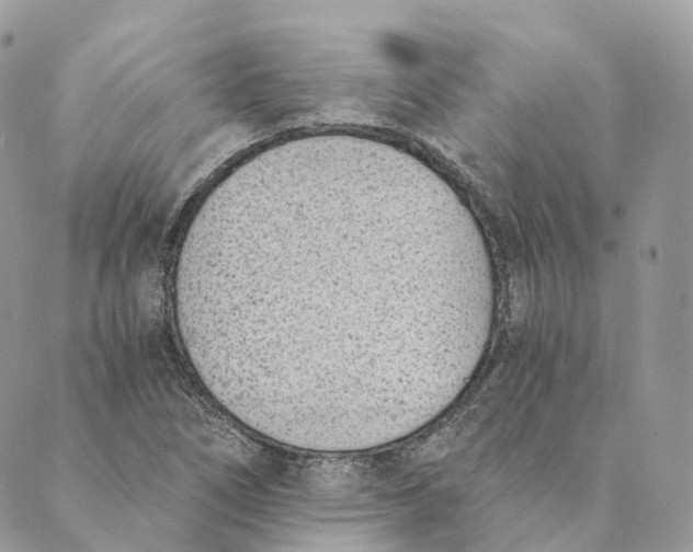 X0000088891266200706291431