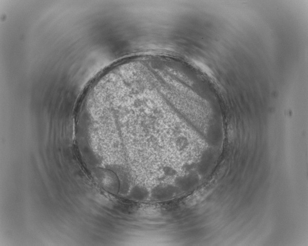 X0000088891267200706291431