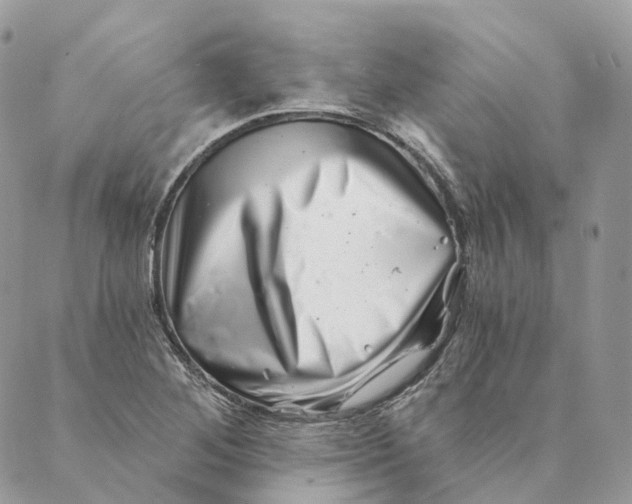 X0000088891268200706291431