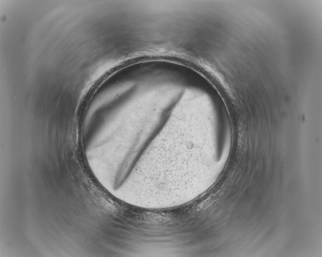 X0000088891270200706291431