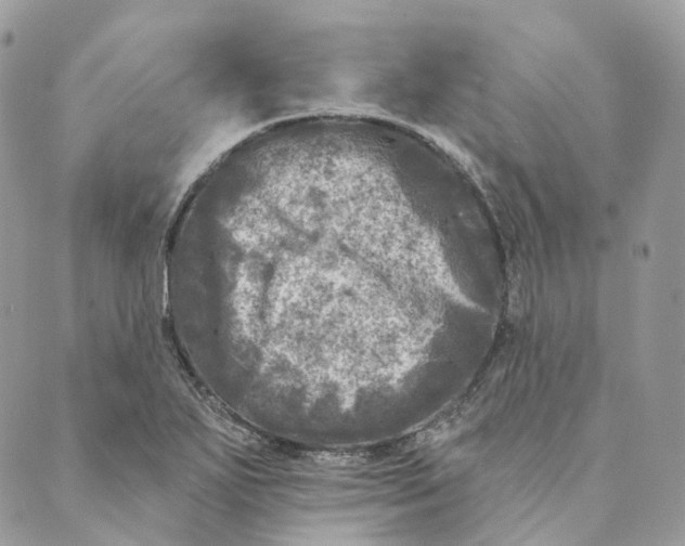 X0000088891271200706291431