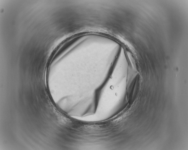 X0000088891272200706291431