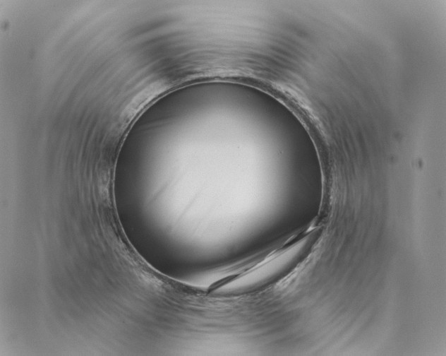 X0000088891273200706291431