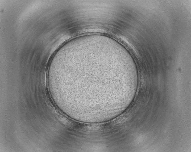 X0000088891274200706291431