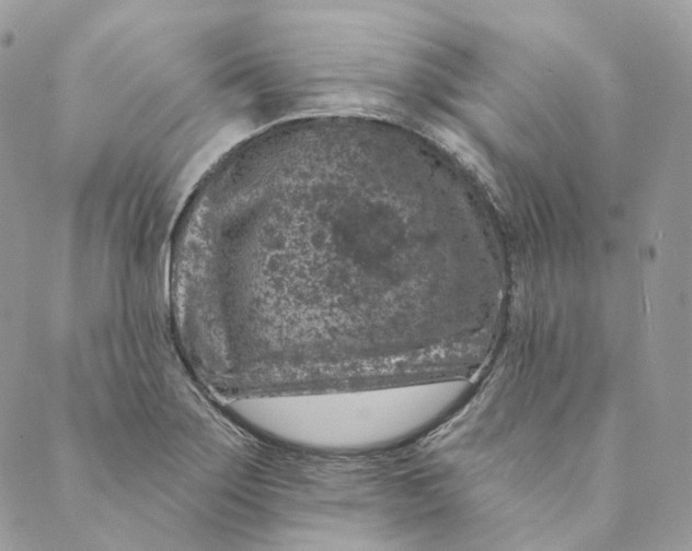 X0000088891275200706291431