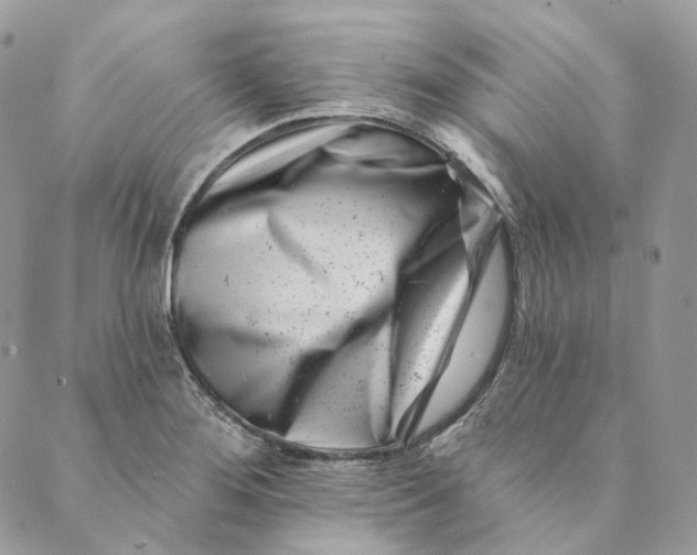 X0000088891276200706291431