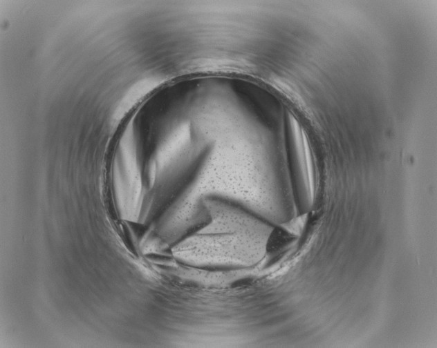 X0000088891277200706291431