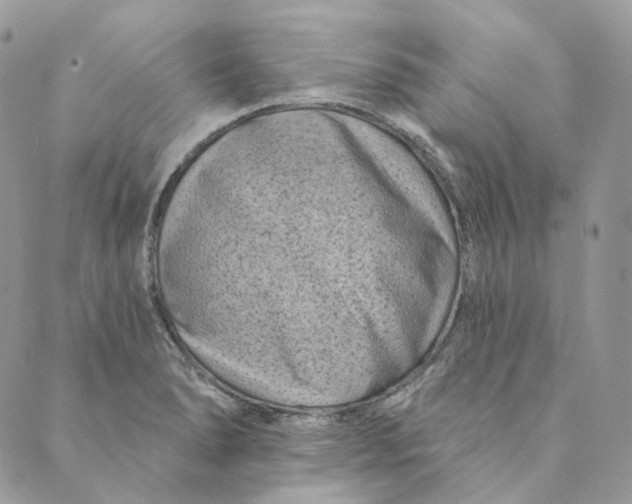 X0000088891278200706291431