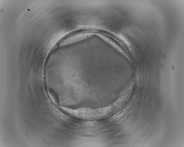 X0000088891279200706291431