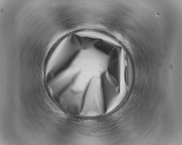 X0000088891280200706291431