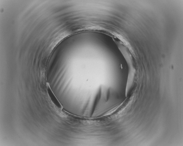 X0000088891281200706291431