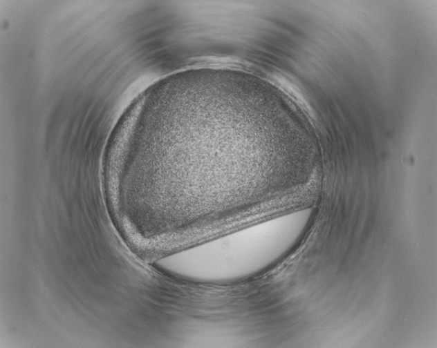 X0000088891283200706291430